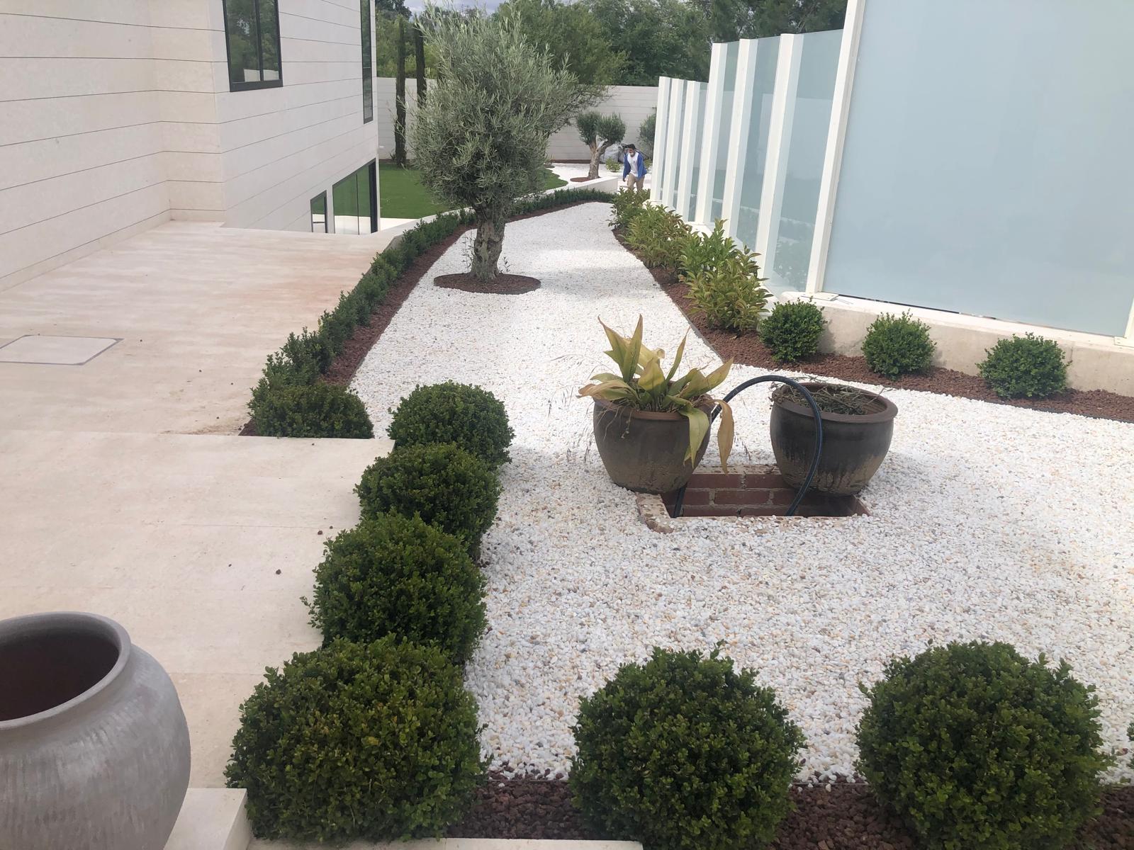 Plantación y poda de árboles en Majadahonda