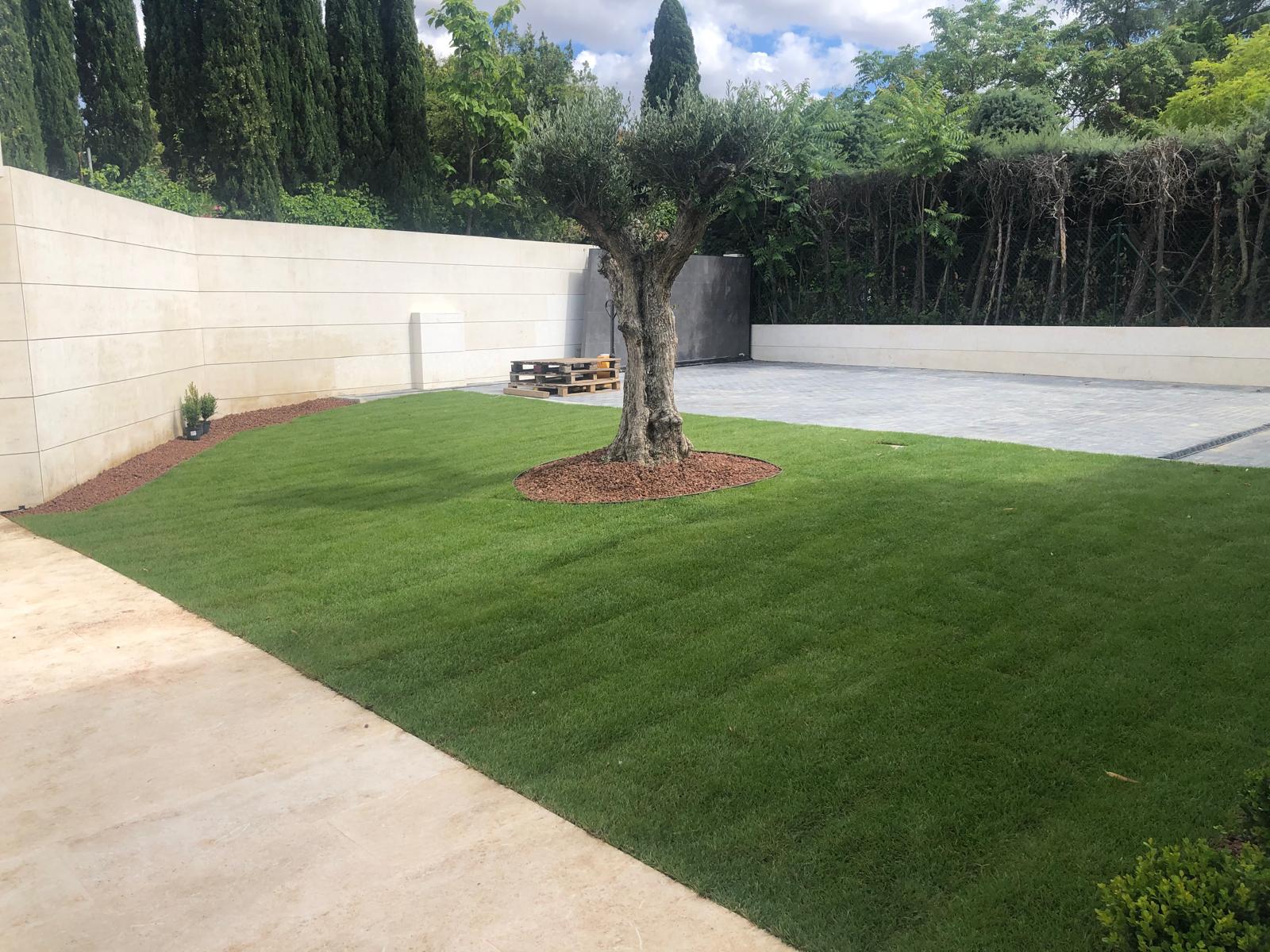 Necesito máquina para quitar césped natural de vivienda